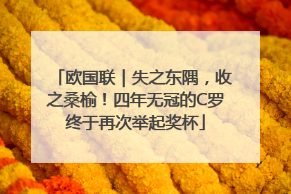 欧国联｜失之东隅，收之桑榆！四年无冠的C罗终于再次举起奖杯