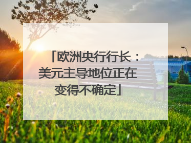 欧洲央行行长：美元主导地位正在变得不确定
