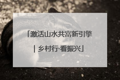 激活山水共富新引擎｜乡村行·看振兴