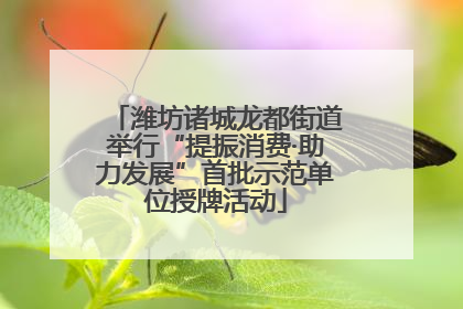 潍坊诸城龙都街道举行“提振消费·助力发展”首批示范单位授牌活动
