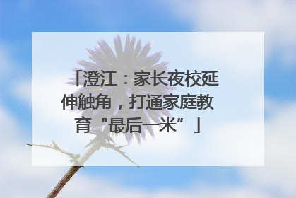 澄江：家长夜校延伸触角，打通家庭教育“最后一米”
