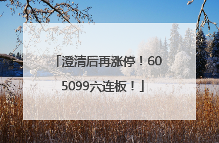 澄清后再涨停！605099六连板！