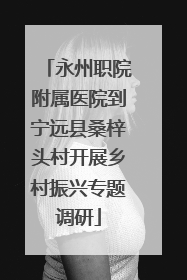 永州职院附属医院到宁远县桑梓头村开展乡村振兴专题调研