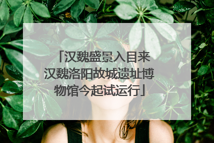 汉魏盛景入目来 汉魏洛阳故城遗址博物馆今起试运行