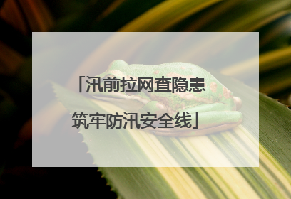 汛前拉网查隐患 筑牢防汛安全线
