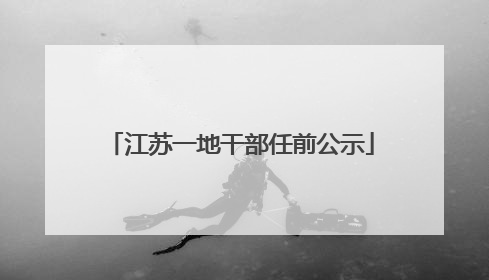 江苏一地干部任前公示