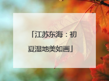 江苏东海：初夏湿地美如画