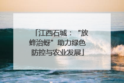 江西石城：“放蜂治蚜”助力绿色防控与农业发展