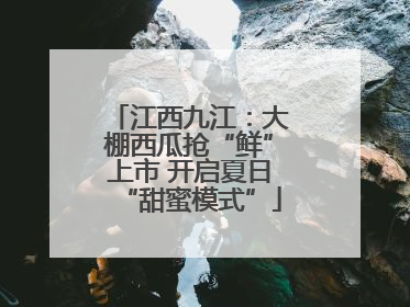 江西九江：大棚西瓜抢“鲜”上市 开启夏日“甜蜜模式”