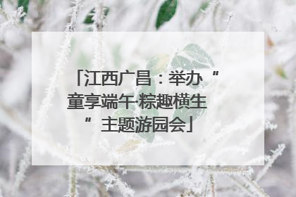 江西广昌：举办“童享端午·粽趣横生”主题游园会
