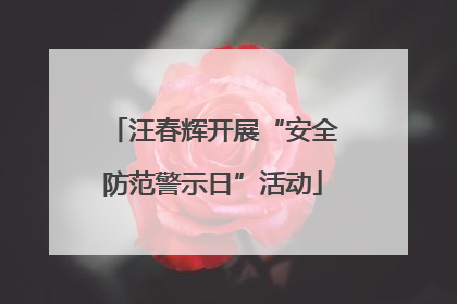 汪春辉开展“安全防范警示日”活动
