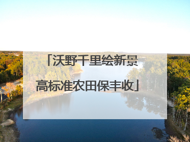 沃野千里绘新景 高标准农田保丰收