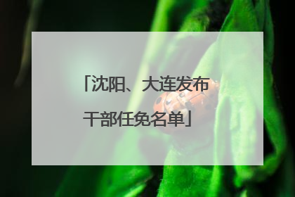 沈阳、大连发布干部任免名单