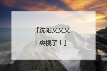 沈阳又又又上央视了！