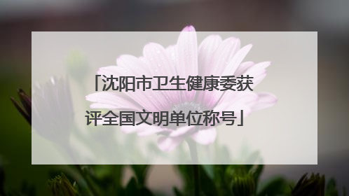 沈阳市卫生健康委获评全国文明单位称号