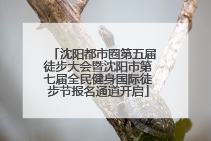 沈阳都市圈第五届徒步大会暨沈阳市第七届全民健身国际徒步节报名通道开启