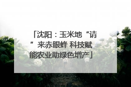 沈阳：玉米地“请”来赤眼蜂 科技赋能农业助绿色增产