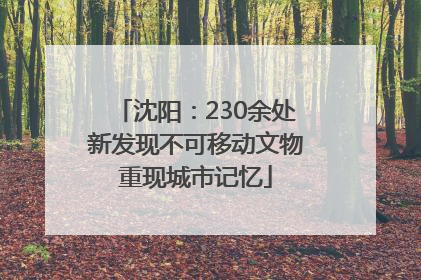 沈阳：230余处新发现不可移动文物重现城市记忆