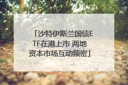沙特伊斯兰国债ETF在港上市 两地资本市场互动频密