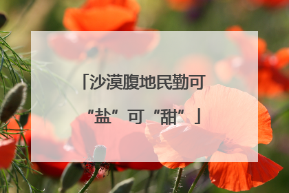 沙漠腹地民勤可“盐”可“甜”