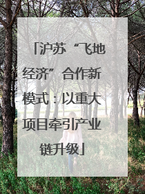 沪苏“飞地经济”合作新模式：以重大项目牵引产业链升级