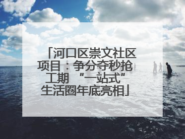 河口区崇文社区项目：争分夺秒抢工期 “一站式”生活圈年底亮相