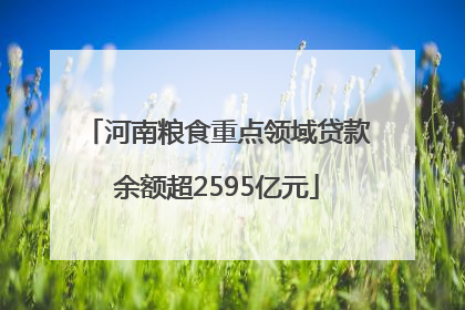 河南粮食重点领域贷款余额超2595亿元