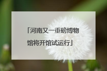 河南又一重磅博物馆将开馆试运行