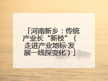 河南新乡：传统产业长“新枝”（走进产业地标·发展一线探变化）