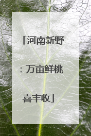 河南新野：万亩鲜桃喜丰收