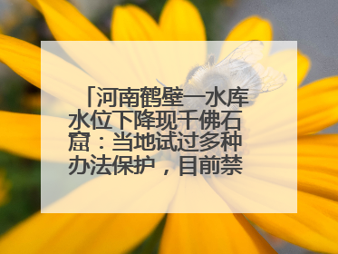 河南鹤壁一水库水位下降现千佛石窟：当地试过多种办法保护，目前禁止打卡