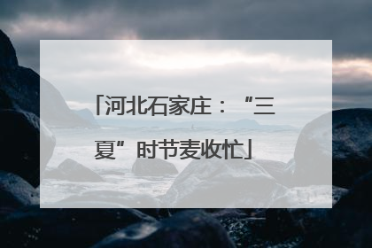 河北石家庄：“三夏”时节麦收忙