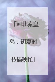 河北秦皇岛：初夏时节插秧忙