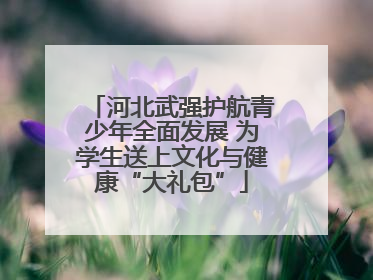 河北武强护航青少年全面发展 为学生送上文化与健康“大礼包”