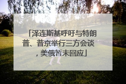 泽连斯基呼吁与特朗普、普京举行三方会谈，美俄暂未回应