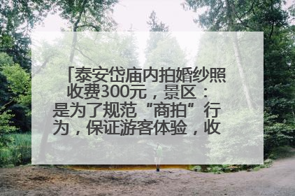 泰安岱庙内拍婚纱照收费300元，景区：是为了规范“商拍”行为，保证游客体验，收取费用全部上交国库
