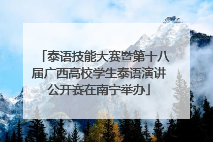 泰语技能大赛暨第十八届广西高校学生泰语演讲公开赛在南宁举办