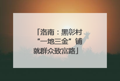 洛南：黑彰村“一地三金”铺就群众致富路