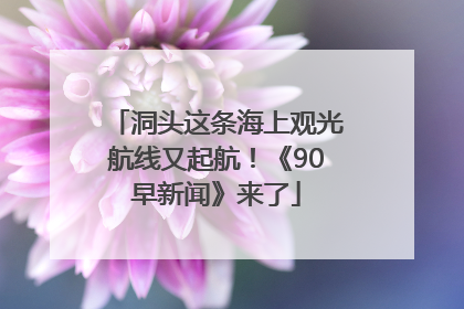 洞头这条海上观光航线又起航！《90早新闻》来了