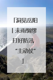 洞见岳阳丨未雨绸缪 打好防汛“主动仗”