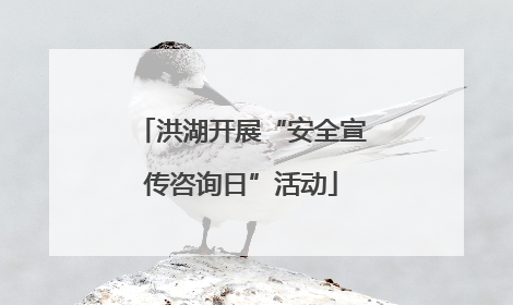洪湖开展“安全宣传咨询日”活动