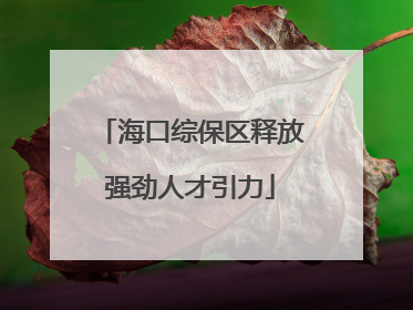 海口综保区释放强劲人才引力