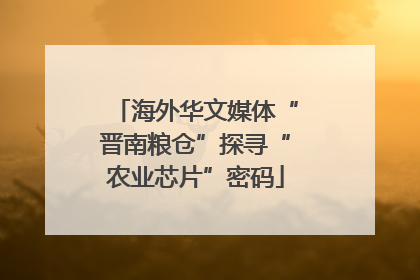 海外华文媒体“晋南粮仓”探寻“农业芯片”密码