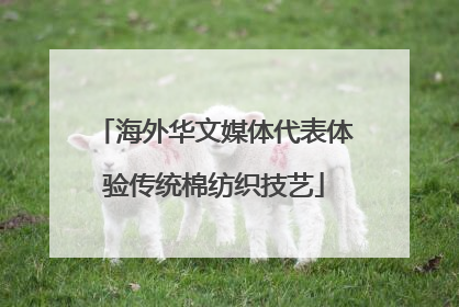 海外华文媒体代表体验传统棉纺织技艺