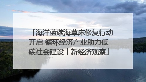 海洋蓝碳海草床修复行动开启 循环经济产业助力低碳社会建设丨新经济观察