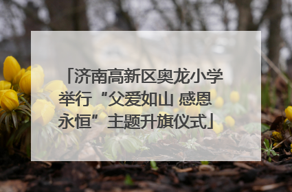 济南高新区奥龙小学举行“父爱如山 感恩永恒”主题升旗仪式