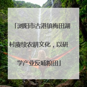 浏阳市古港镇梅田湖村赓续农耕文化，以研学产业反哺粮田