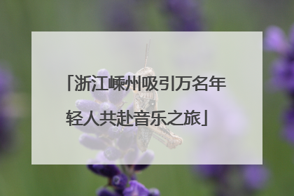 浙江嵊州吸引万名年轻人共赴音乐之旅