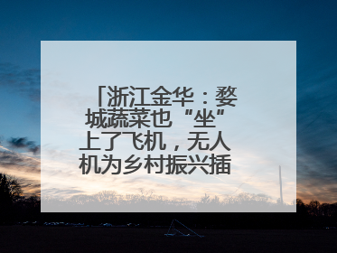 浙江金华：婺城蔬菜也“坐”上了飞机，无人机为乡村振兴插上“翅膀”