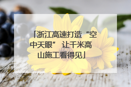 浙江高速打造“空中天眼” 让千米高山施工看得见